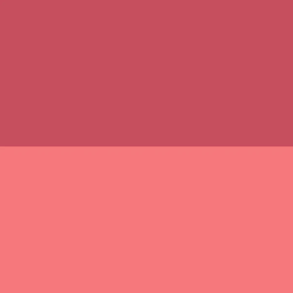 Blush duo crème et poudre - Soft Hibiscus>ABSOLUTE NEW YORK New