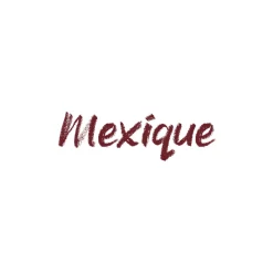 Crayon lèvres Dream lips - 524 Mexique>GOLDEN ROSE Outlet