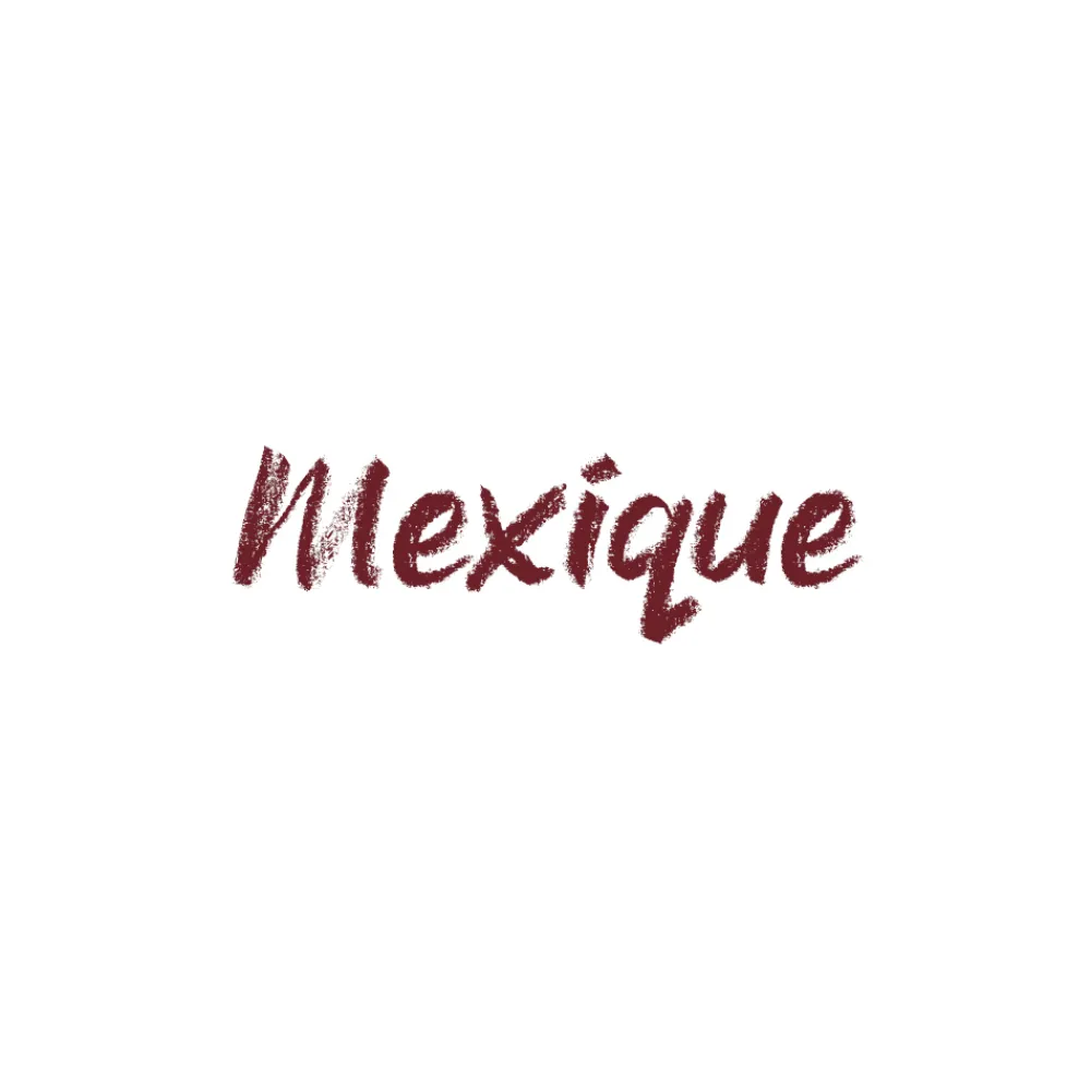 Crayon lèvres Dream lips - 524 Mexique>GOLDEN ROSE Outlet