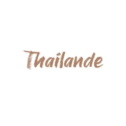 Crayon lèvres Dream lips - 502 Thaïlande>GOLDEN ROSE Online