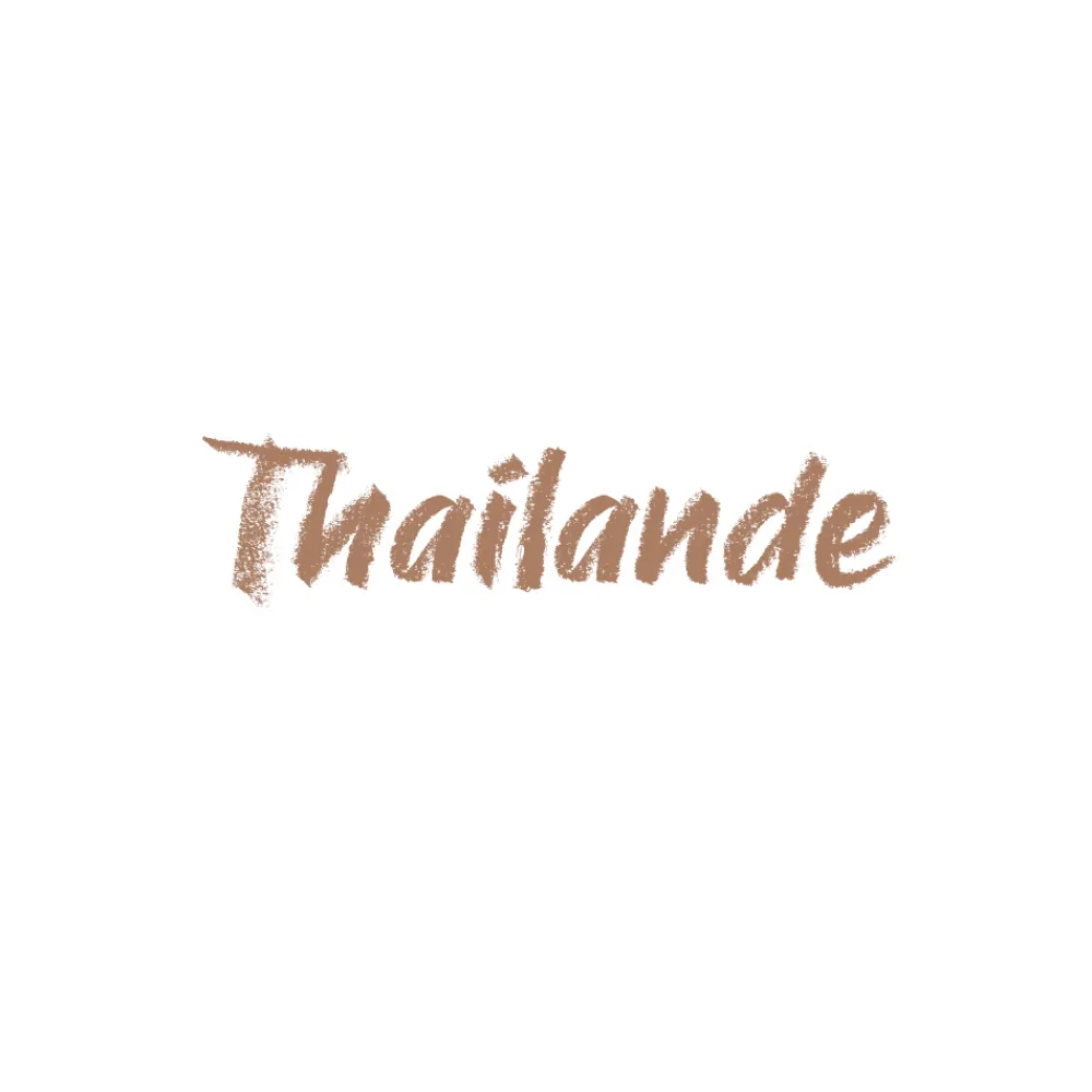 Crayon lèvres Dream lips - 502 Thaïlande>GOLDEN ROSE Online