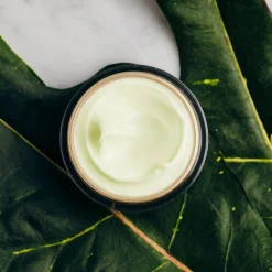 Crème réparatrice anti-rides de jour CBD oil>BIOTANIQE Best