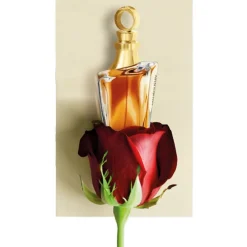 Eau de parfum - Elixir pour Elle><noscript><img width=