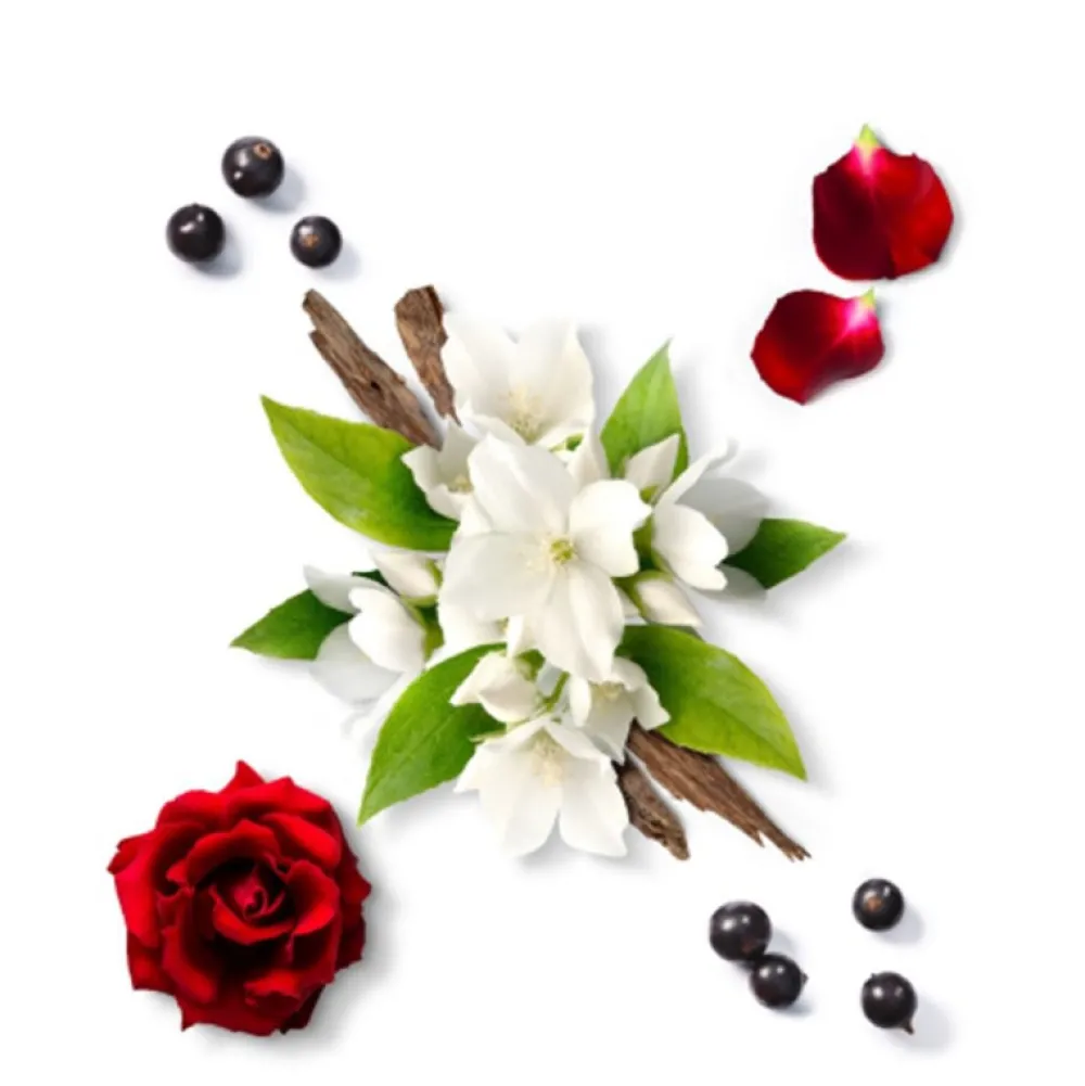 Eau de parfum - Elixir pour Elle>MAUBOUSSIN Online