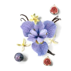Eau de parfum - Star><noscript><img width=