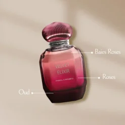 Eau de parfum - Velvet elixir>PASCAL MORABITO Outlet