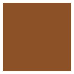 Fond de teint correcteur 2-en-1 - Neutral Mocha>ABSOLUTE NEW YORK Best