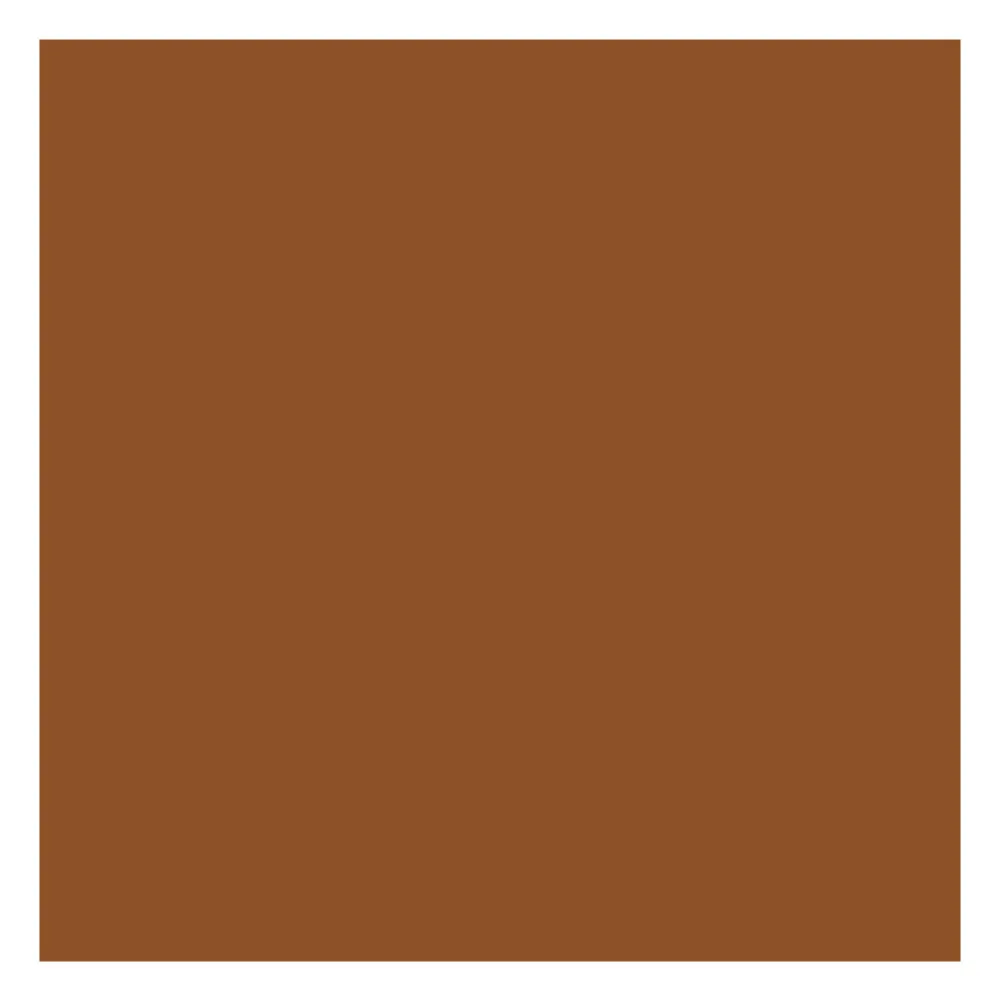 Fond de teint correcteur 2-en-1 - Neutral Mocha>ABSOLUTE NEW YORK Best