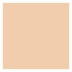 Fond de teint Correcteur 2-en-1 - Warm sand>ABSOLUTE NEW YORK Sale