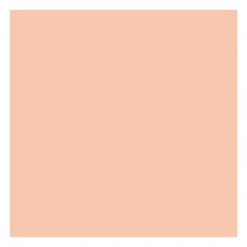 Fond de teint Correcteur 2-en-1 - Neutral shell>ABSOLUTE NEW YORK Clearance