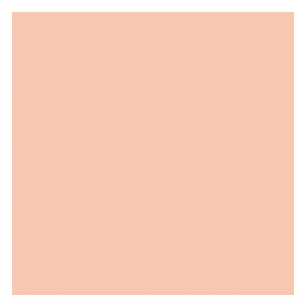 Fond de teint Correcteur 2-en-1 - Neutral shell>ABSOLUTE NEW YORK Clearance