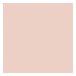 Fond de teint poudre compacte matifiante - Warm Porcelain>ABSOLUTE NEW YORK Hot