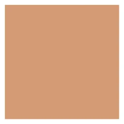 Fond de teint poudre compacte matifiante - Neutral Hazelnut>ABSOLUTE NEW YORK Outlet
