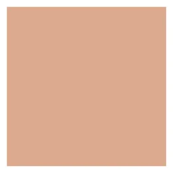 Fond de teint poudre compacte matifiante - Cool Beige>ABSOLUTE NEW YORK Hot